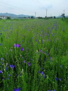 桔?；?><span >桔?；?/span></a></p>
          </li><li id=